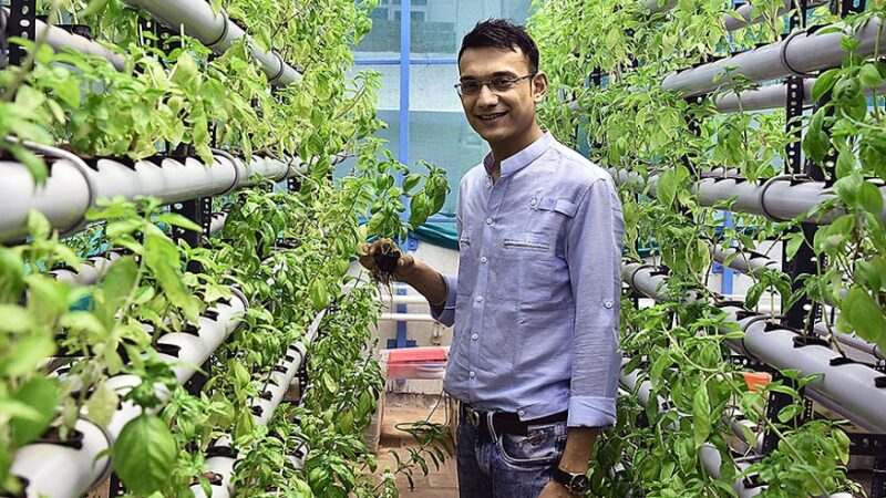 Here Are The Interesting Ways To Make Money While Doing Hydroponics Farming In India