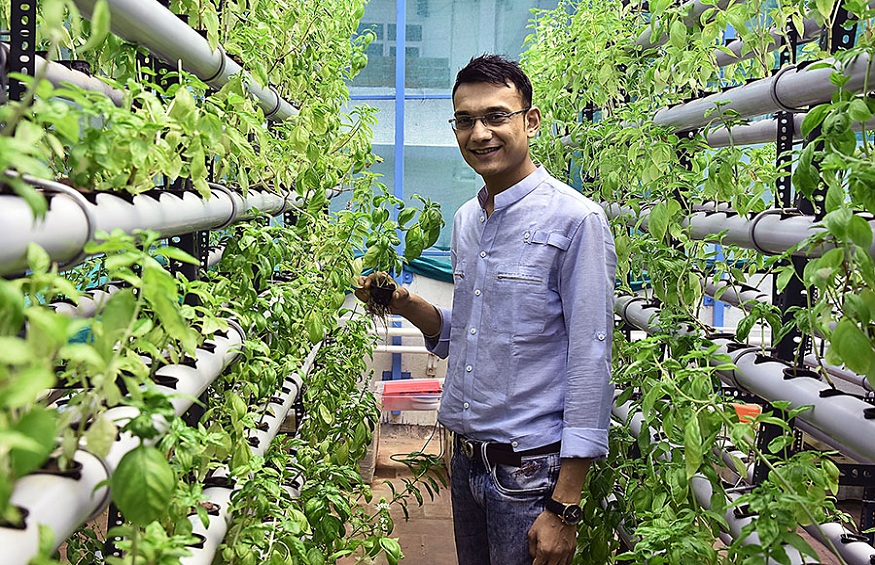 Here Are The Interesting Ways To Make Money While Doing Hydroponics Farming In India