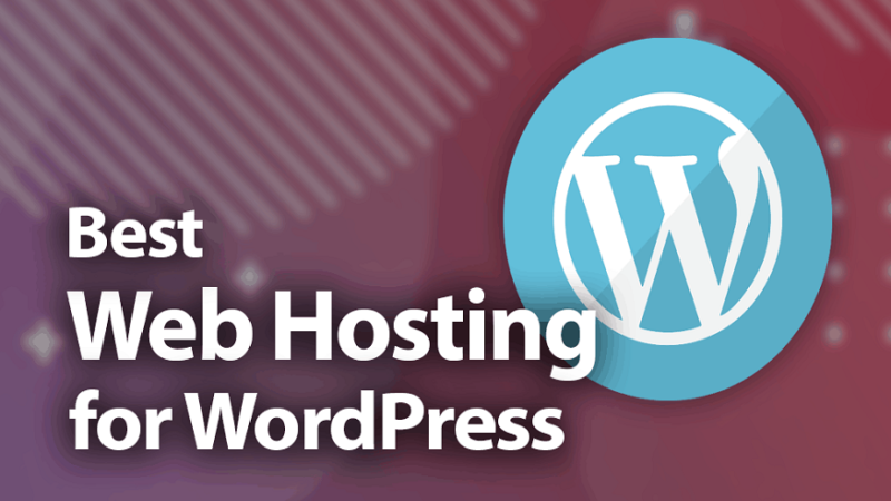Why should you opt for WordPress web hosting?